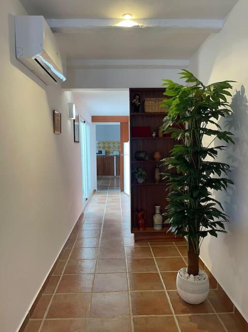 Casa Da Oliveira Villa Mourão Exteriör bild